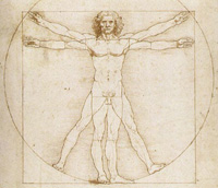 Vitruvian Man